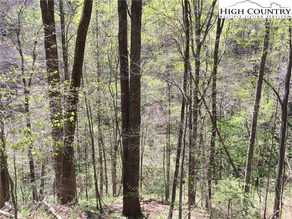 Image number 4 for the current listing