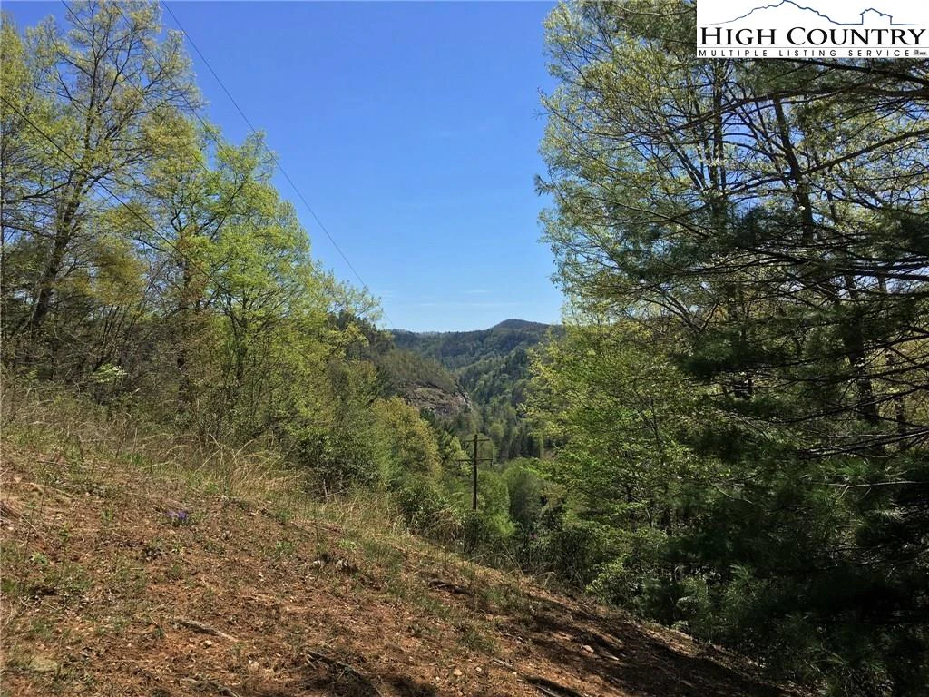 Image number 5 for the current listing
