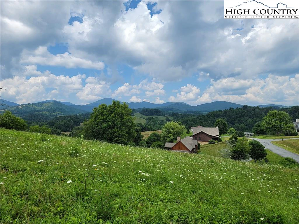 Image number 1 for the current listing