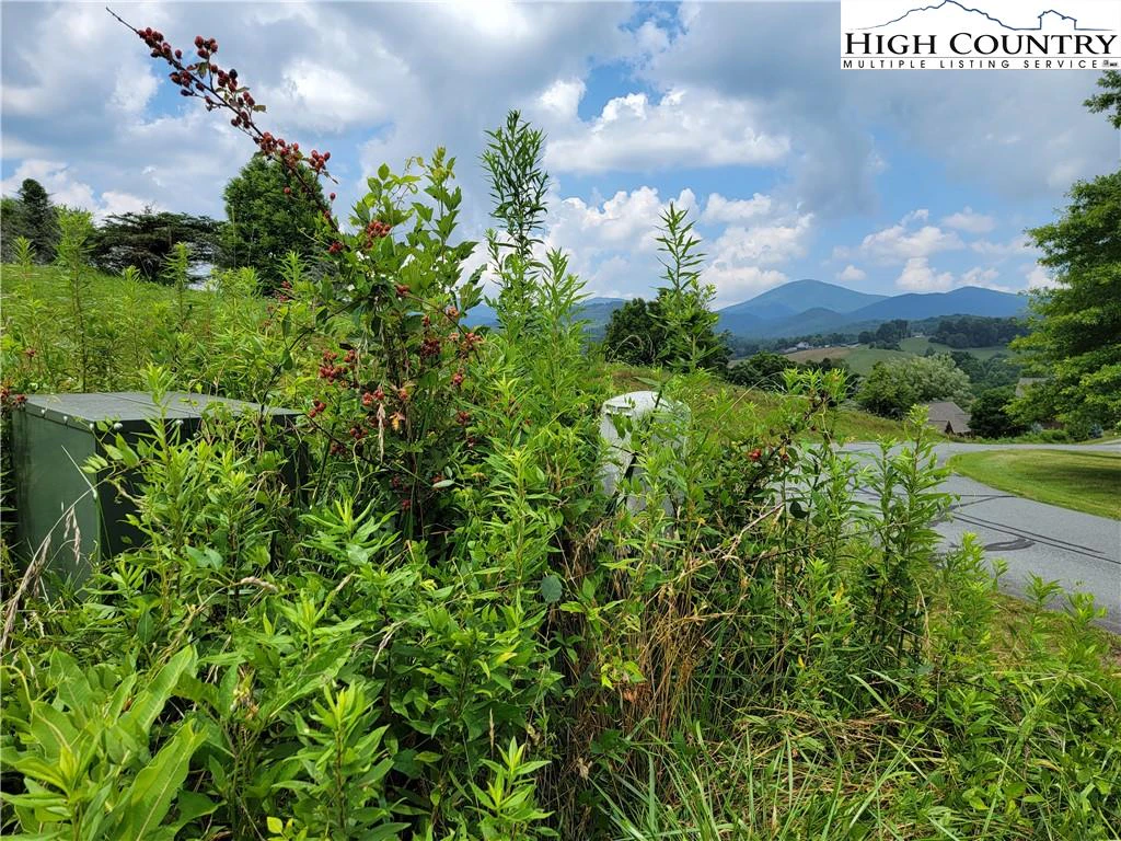 Image number 11 for the current listing