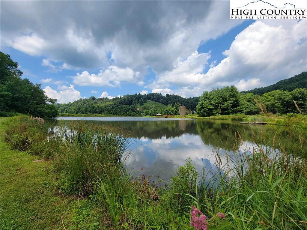 Image number 10 for the current listing