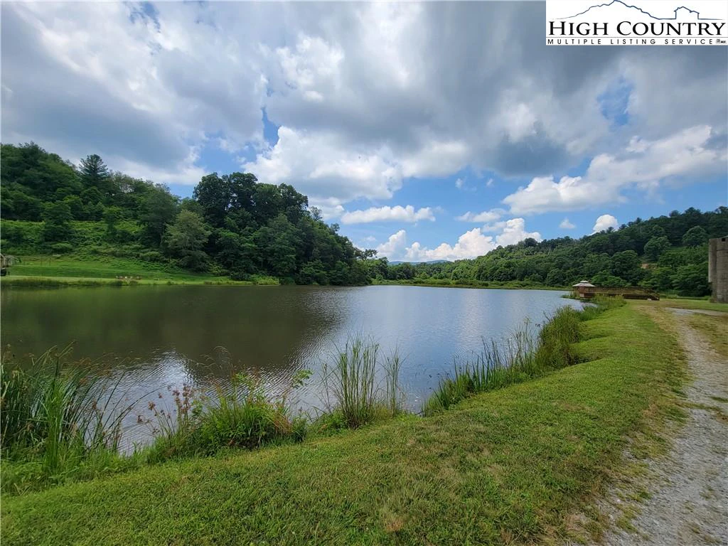 Image number 8 for the current listing