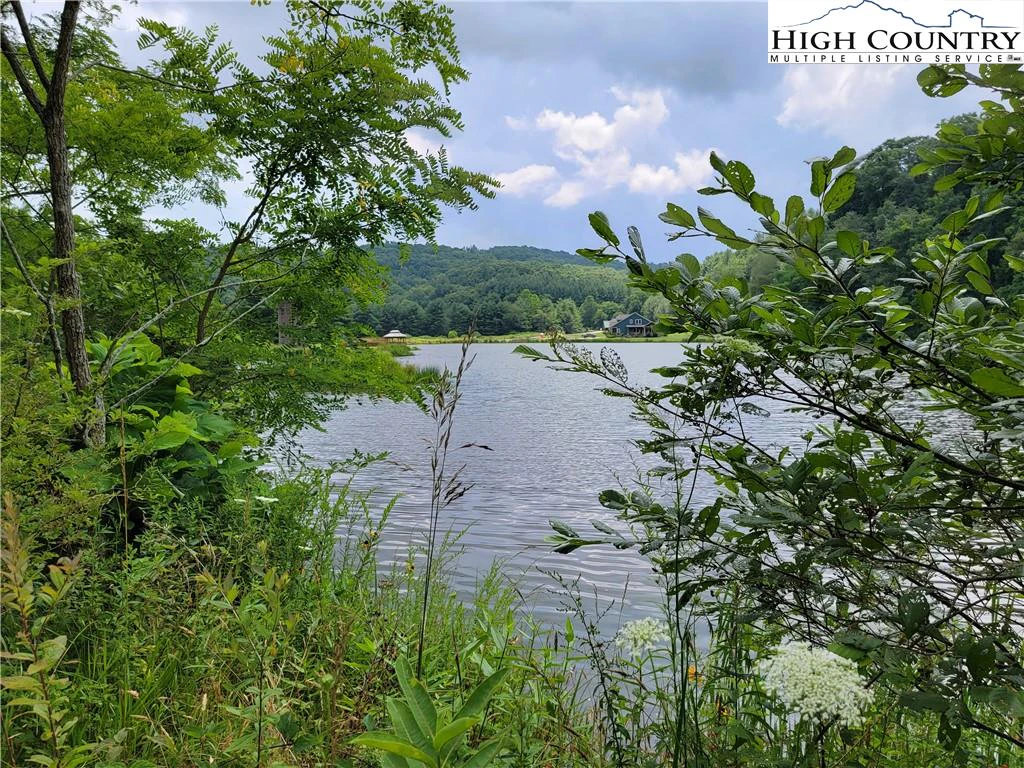 Image number 3 for the current listing