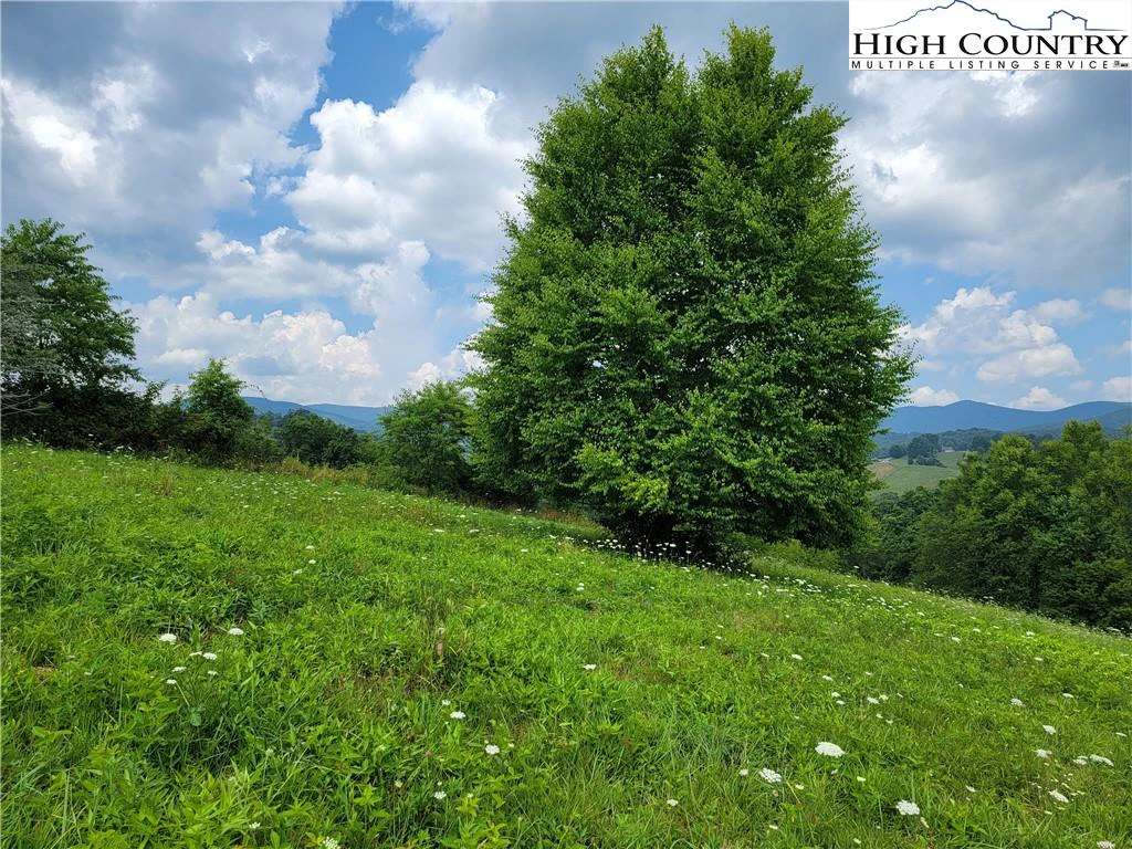 Image number 17 for the current listing