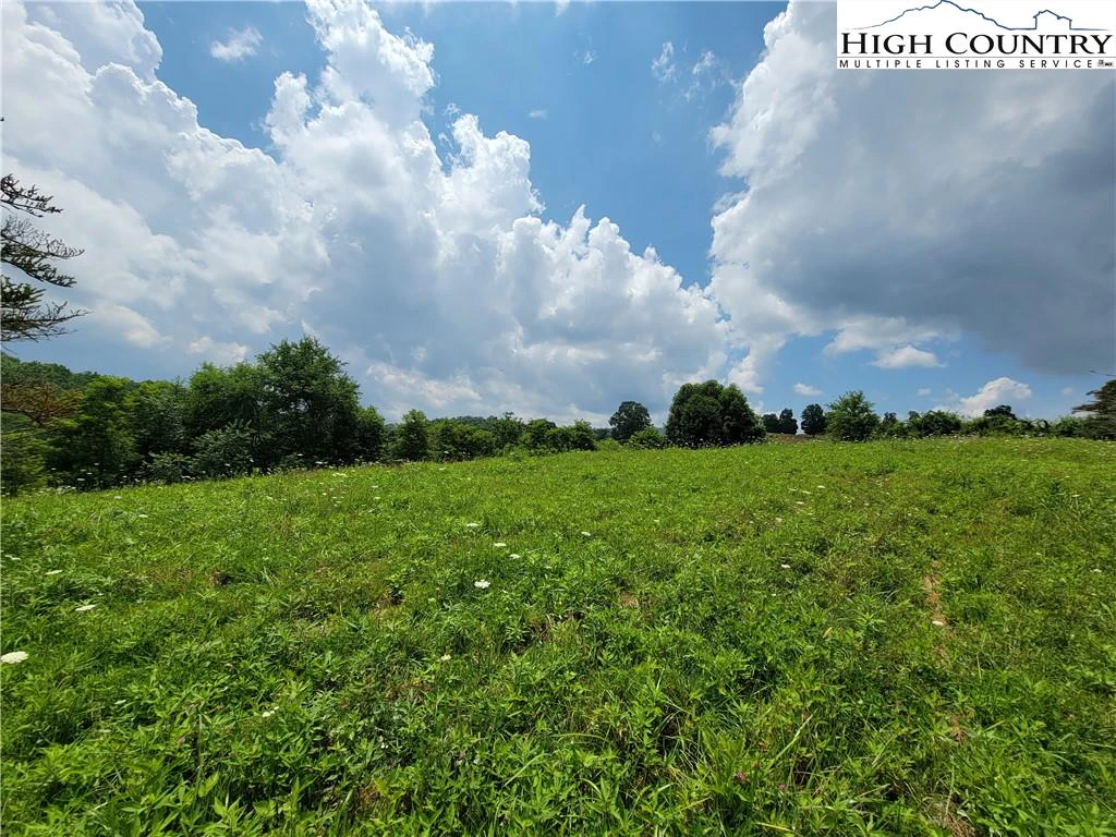Image number 16 for the current listing