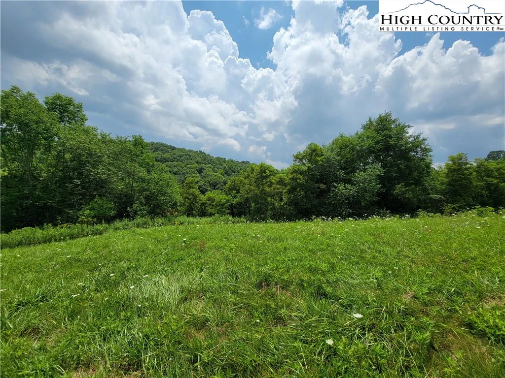 Image number 15 for the current listing