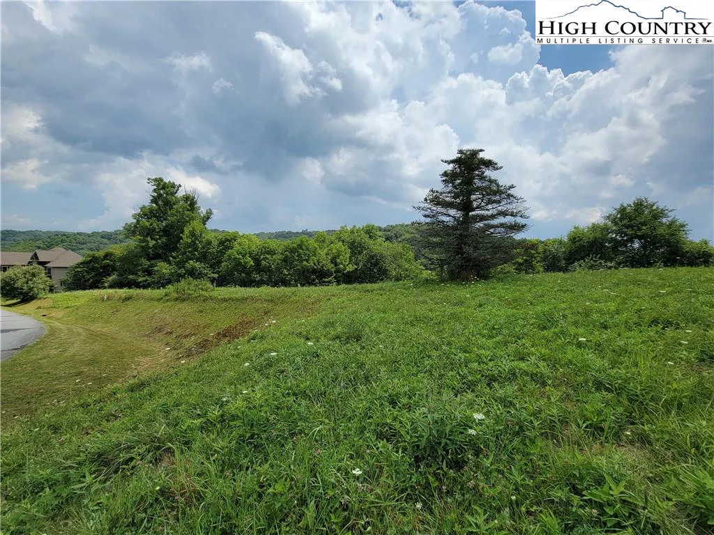 Image number 14 for the current listing