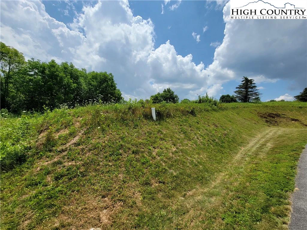 Image number 13 for the current listing