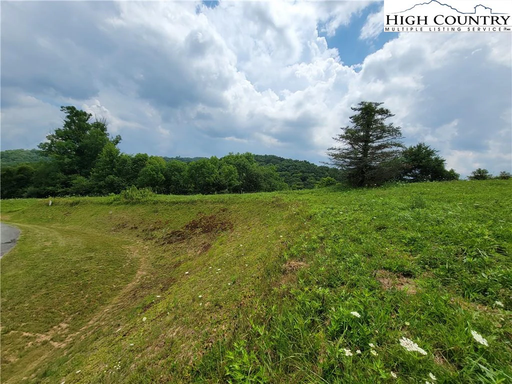 Image number 12 for the current listing