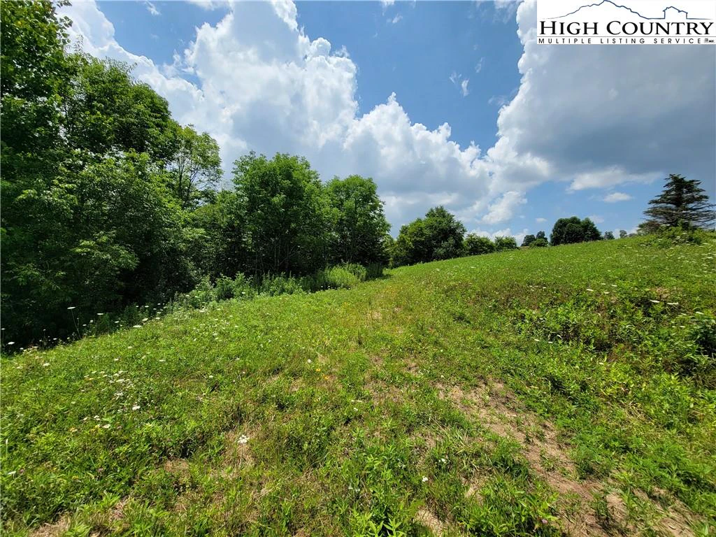 Image number 2 for the current listing