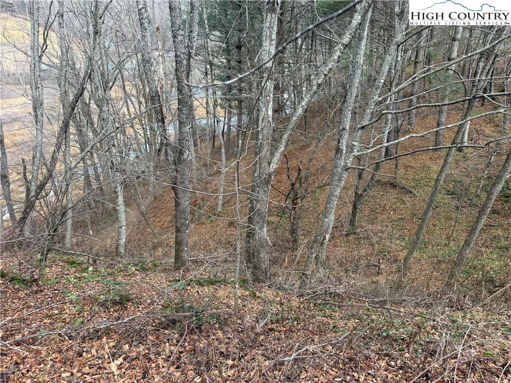 Image number 10 for the current listing