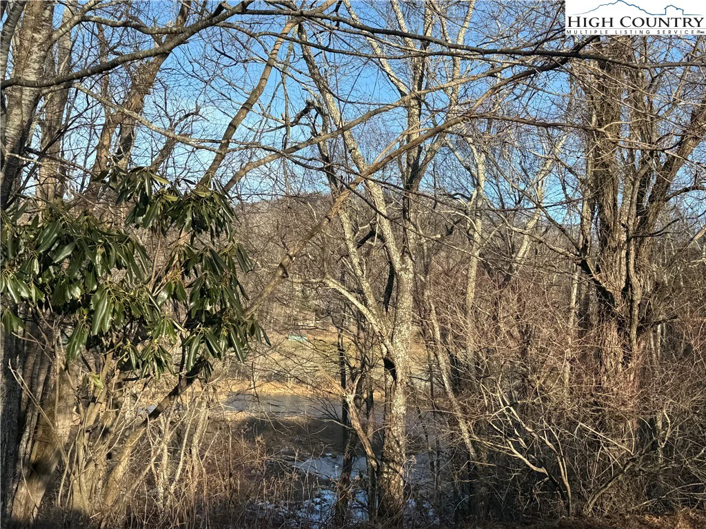Image number 12 for the current listing