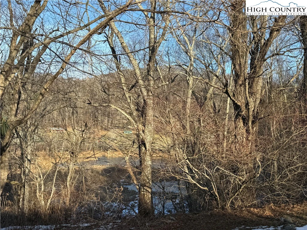 Image number 14 for the current listing