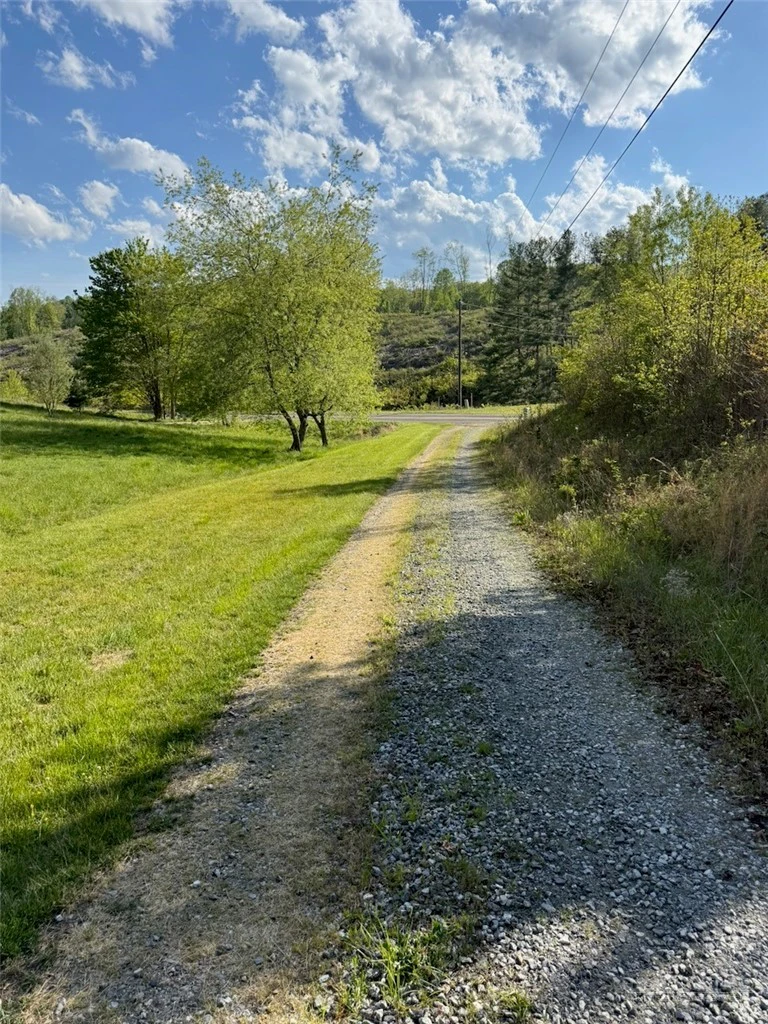 Image number 5 for the current listing