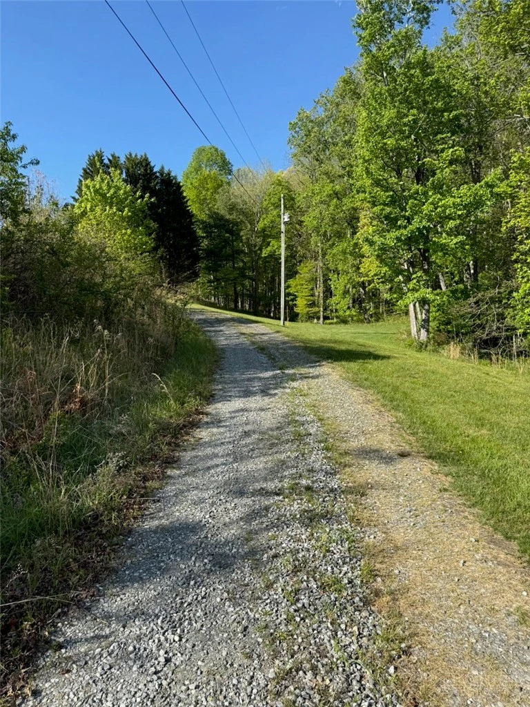 Image number 6 for the current listing