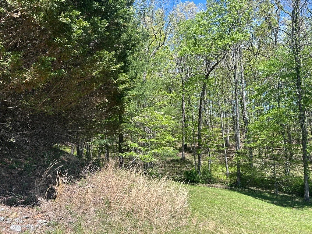 Image number 9 for the current listing