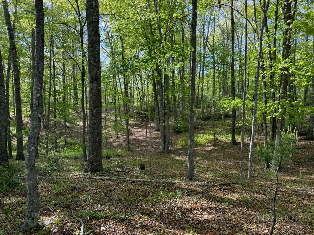 Image number 12 for the current listing