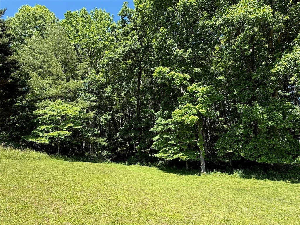 Image number 3 for the current listing