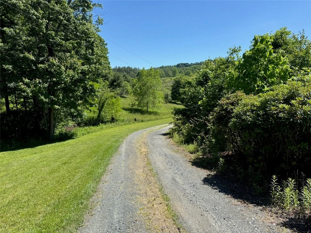 Image number 4 for the current listing
