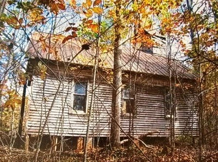 Image number 4 for the current listing