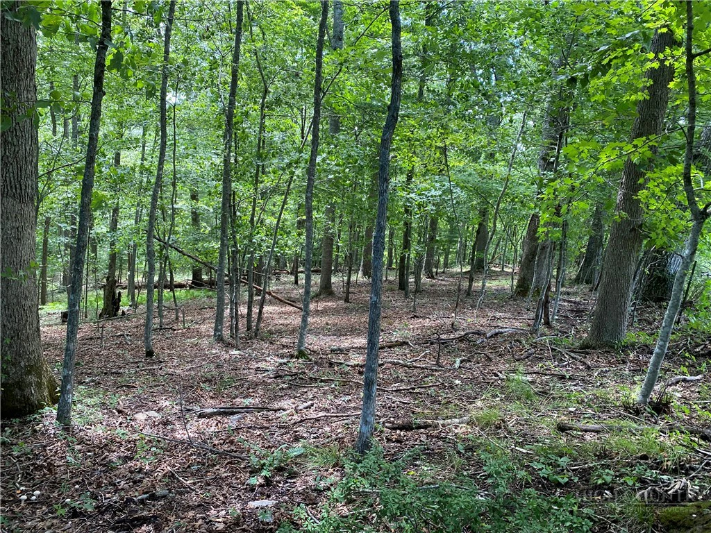 Image number 5 for the current listing