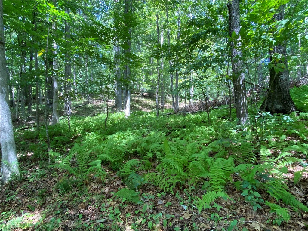 Image number 8 for the current listing