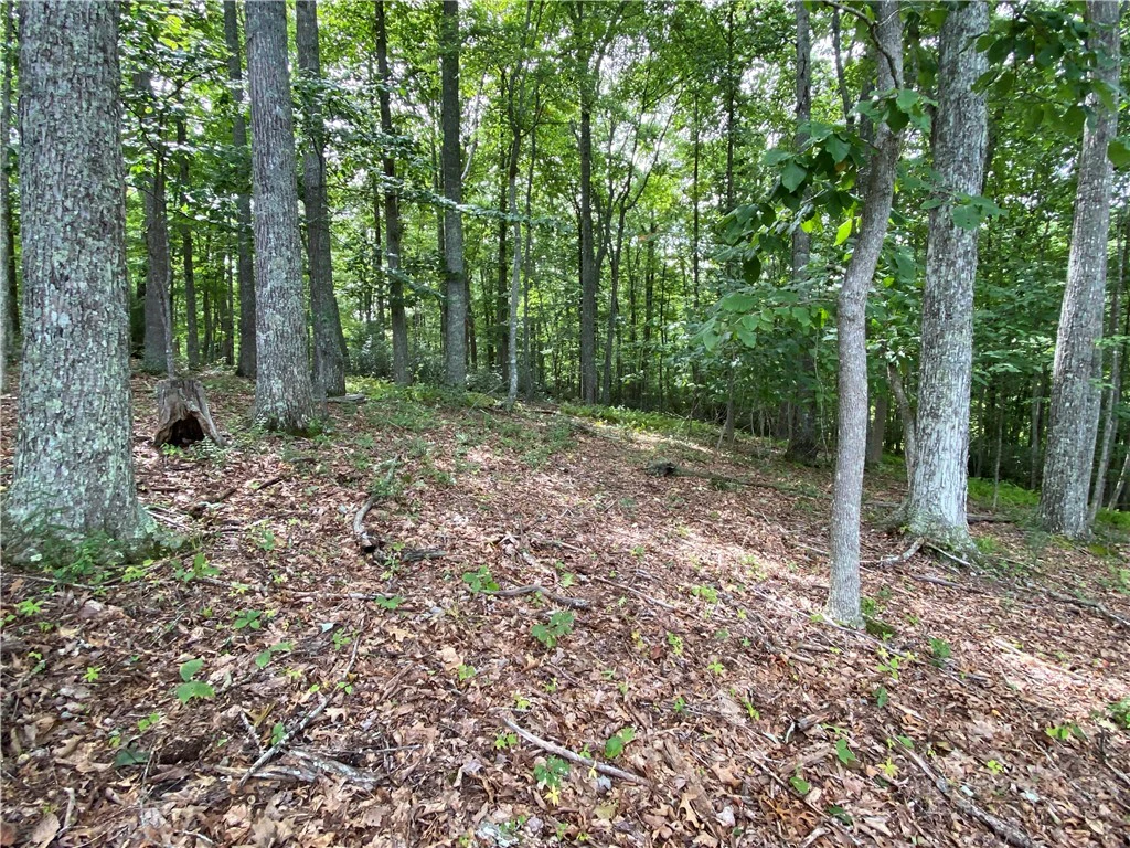 Image number 11 for the current listing
