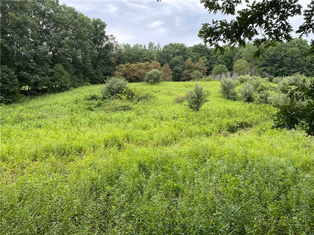 Image number 14 for the current listing