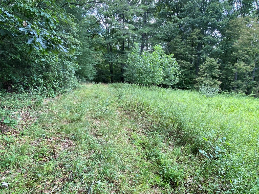 Image number 15 for the current listing