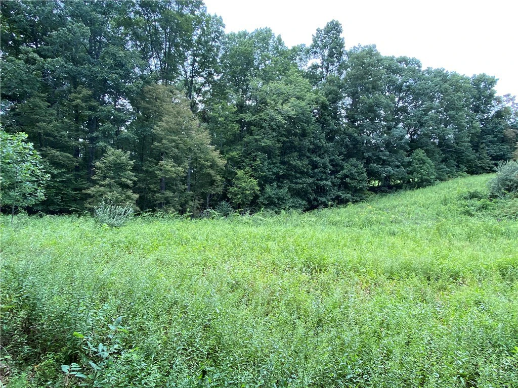Image number 16 for the current listing