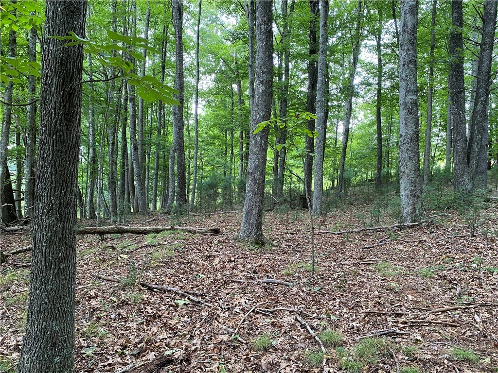 Image number 20 for the current listing