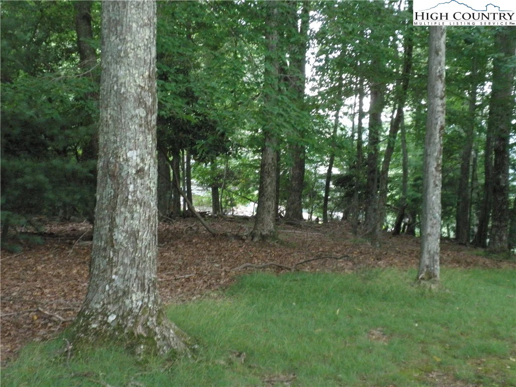 Image number 6 for the current listing