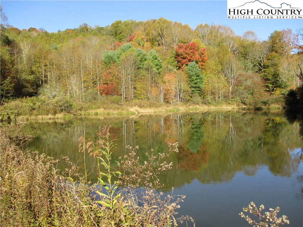 Image number 1 for the current listing
