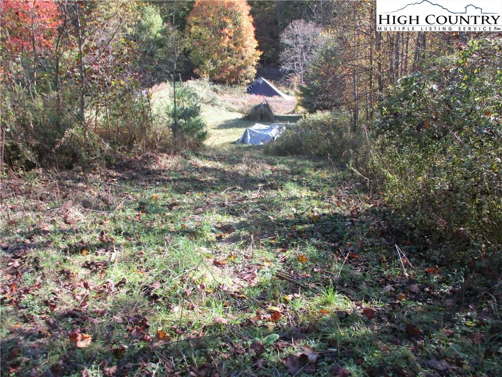 Image number 13 for the current listing