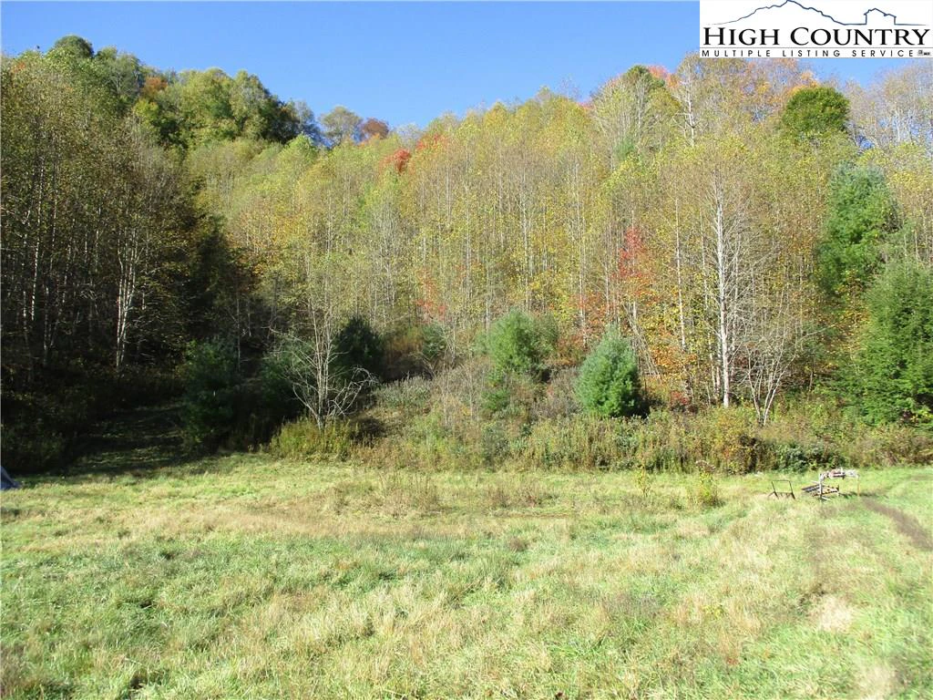 Image number 3 for the current listing
