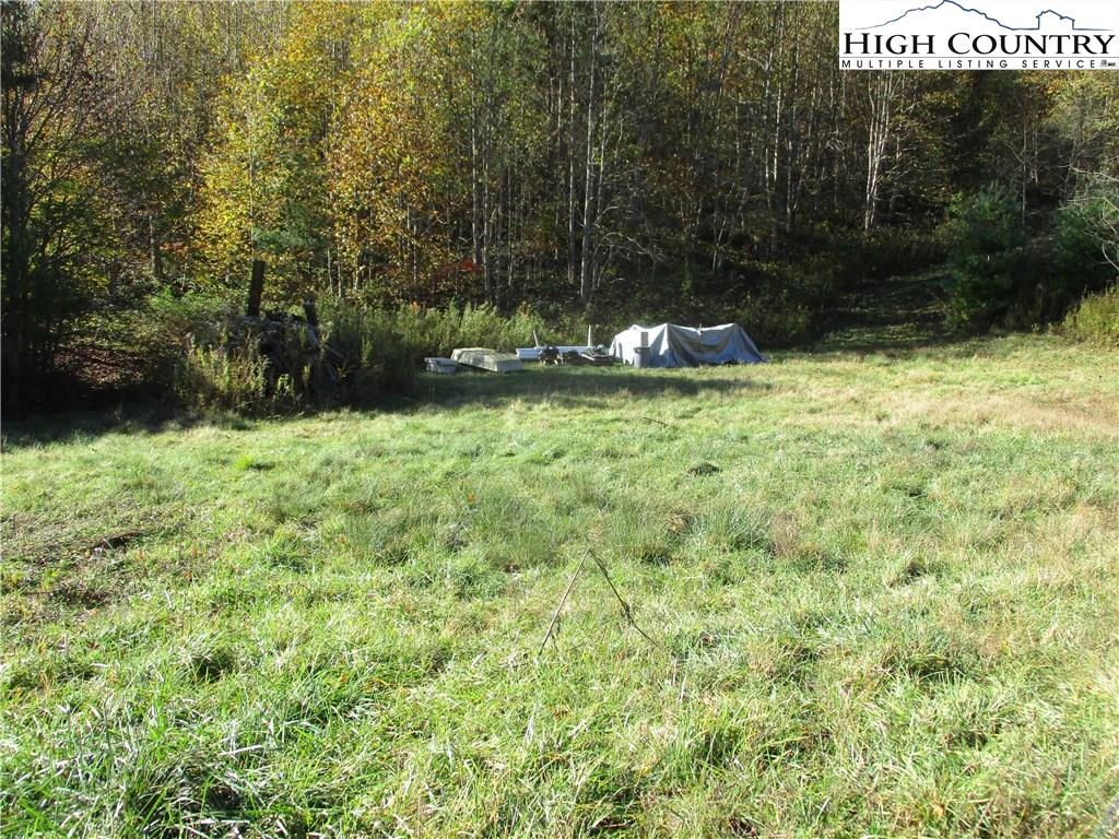 Image number 4 for the current listing