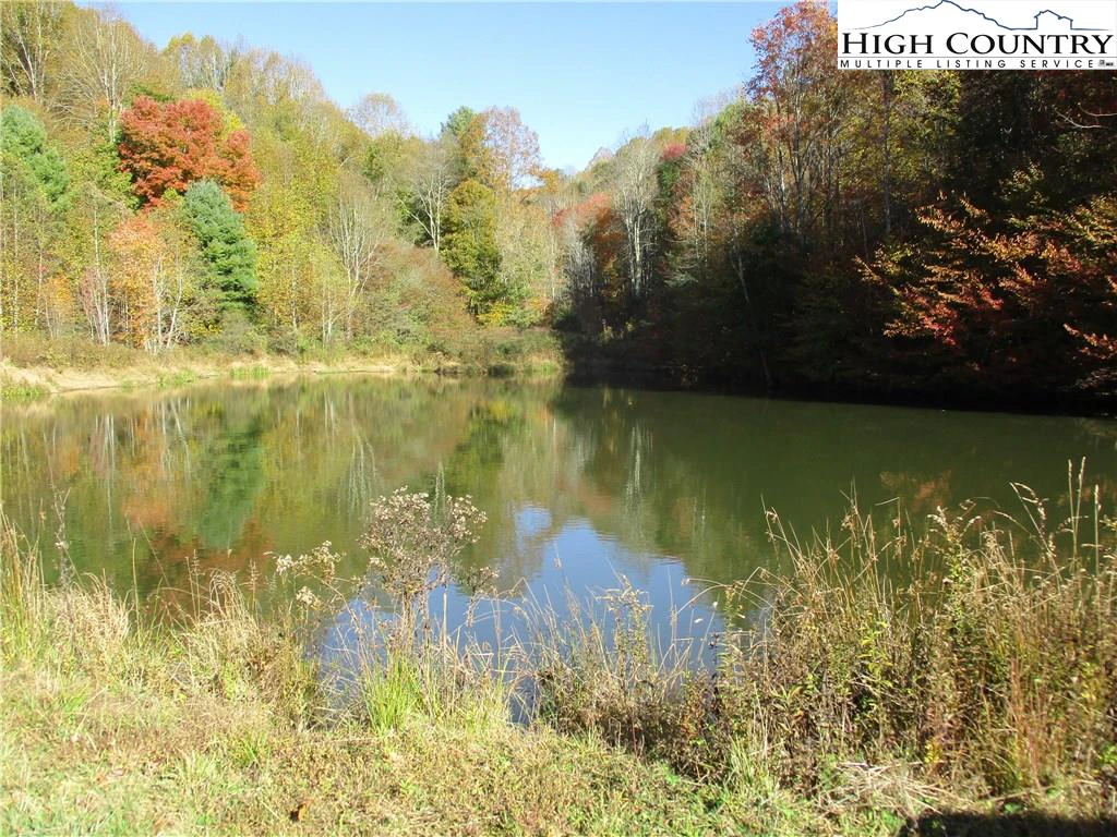 Image number 5 for the current listing