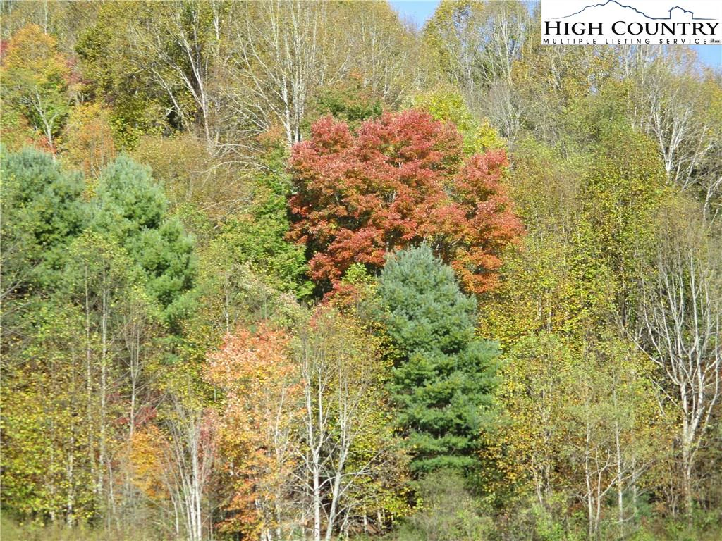 Image number 6 for the current listing