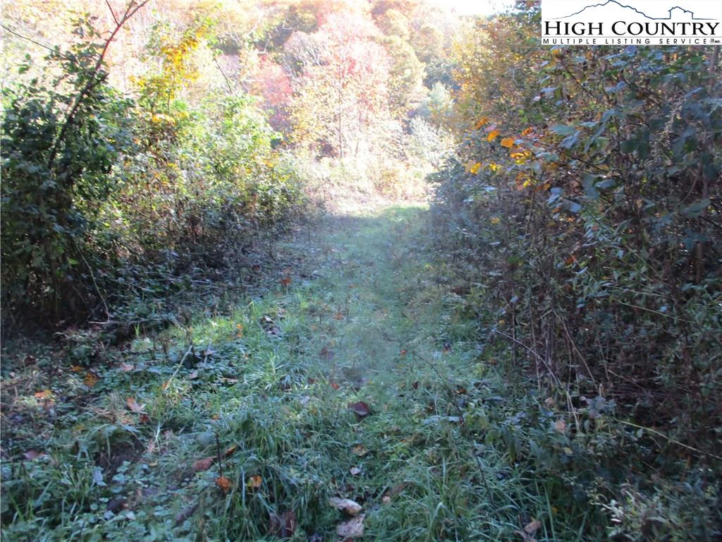 Image number 7 for the current listing