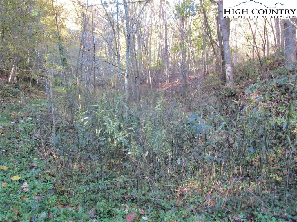 Image number 8 for the current listing