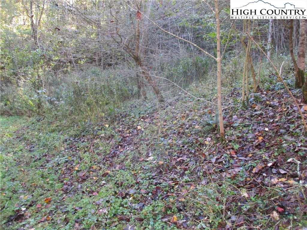 Image number 9 for the current listing