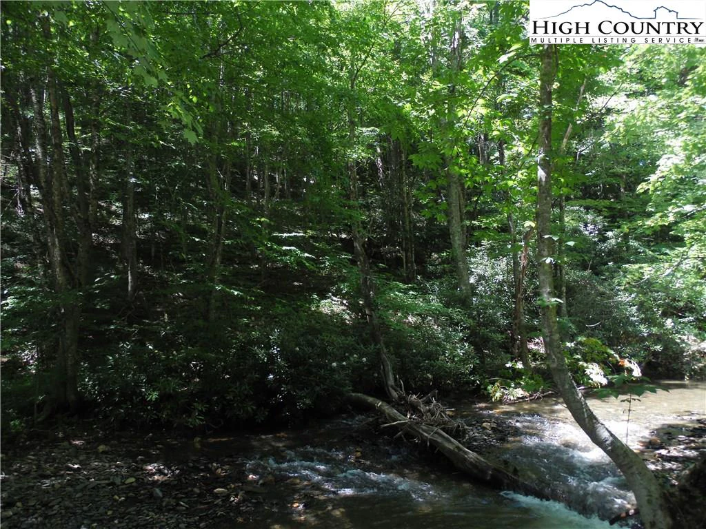 Image number 13 for the current listing