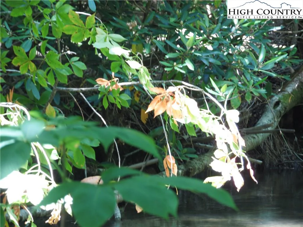 Image number 14 for the current listing