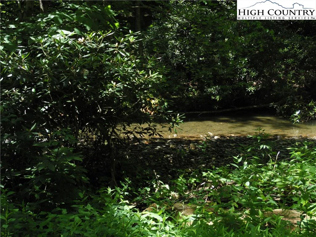 Image number 4 for the current listing