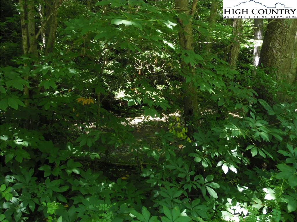 Image number 6 for the current listing
