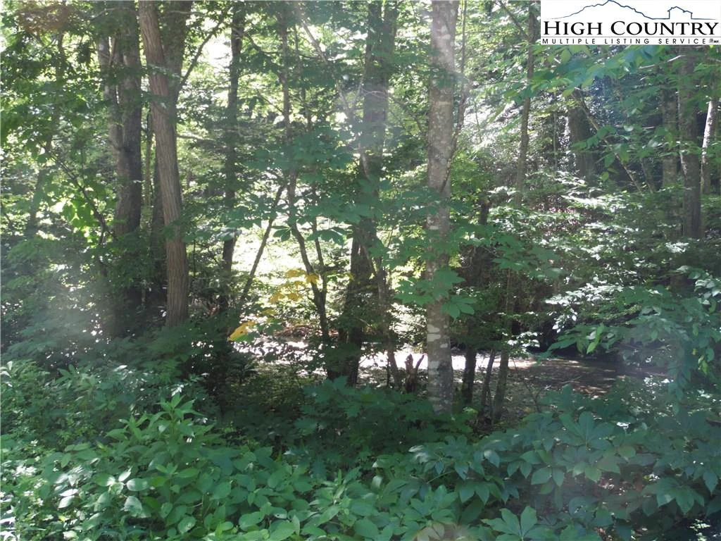 Image number 7 for the current listing