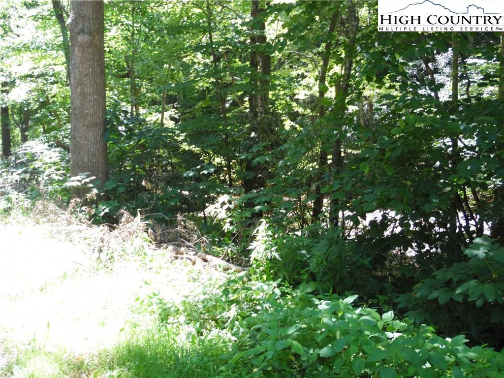 Image number 8 for the current listing