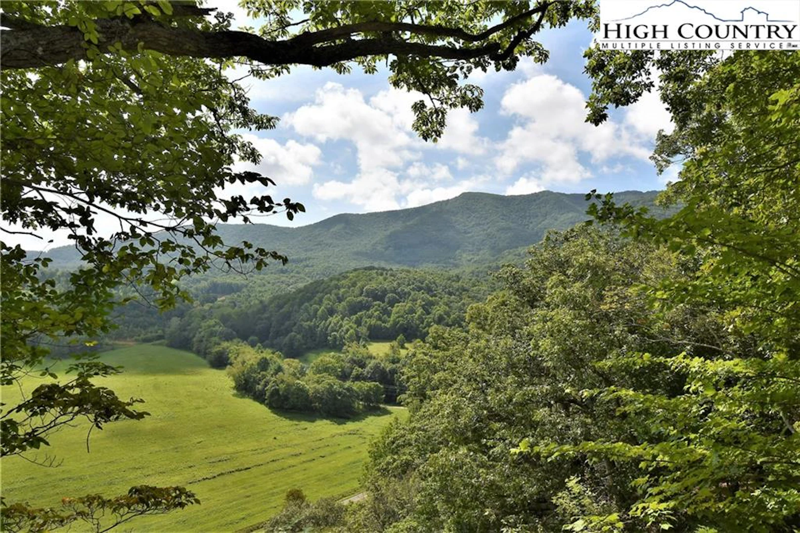 Image number 1 for the current listing