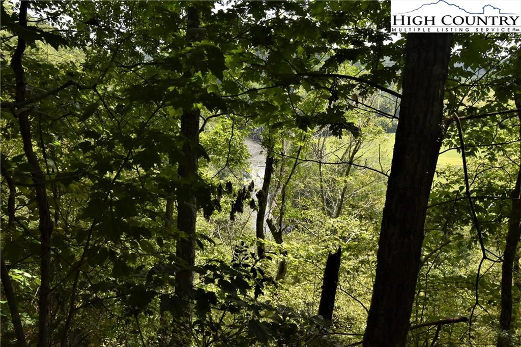 Image number 3 for the current listing