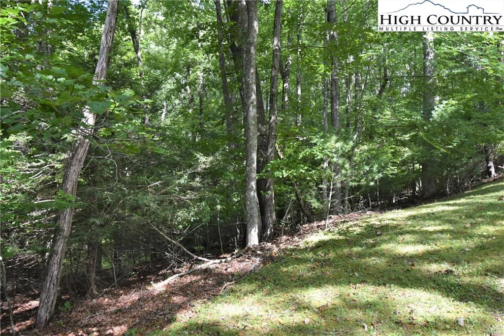 Image number 4 for the current listing